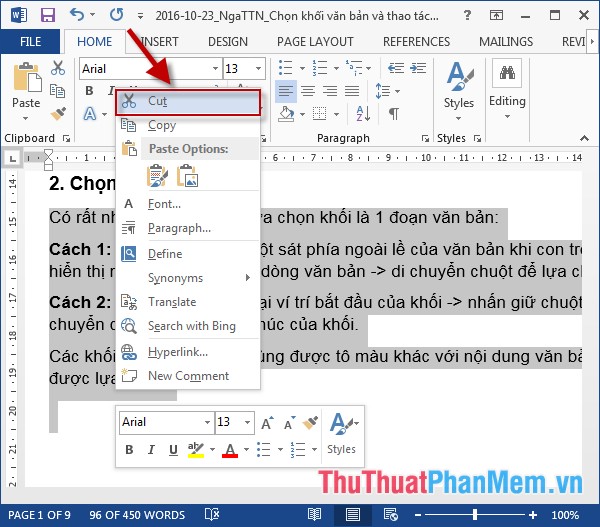 Select blocks of text and manipulate blocks in Word Picture 5