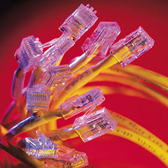 Select network device hardware Picture 2