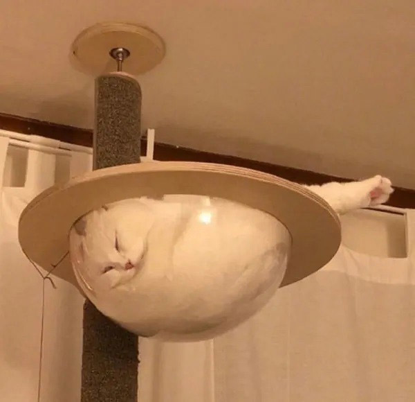 Series of funny horizontal moments, watching for fun, not trying to explain Picture 10