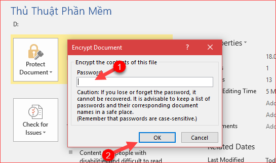 Set a password for Word, Excel, PowerPoint documents in Office 2016 Picture 8