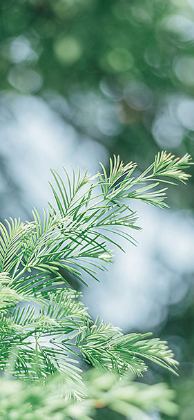 Set of 50+ high quality background images, many themes for smartphones Picture 12