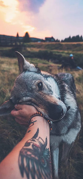 Set of 50+ high quality background images, many themes for smartphones Picture 26