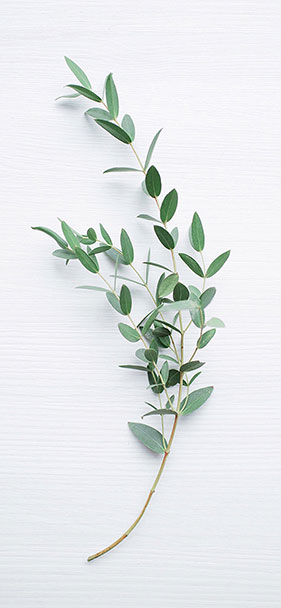 Set of 50+ high quality background images, many themes for smartphones Picture 4