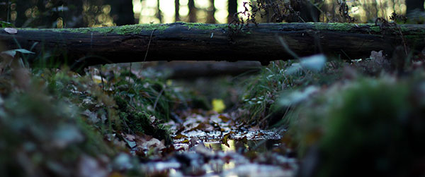 Set of 800+ wallpapers for Ultrawide screen Picture 10