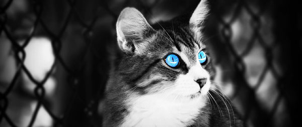 Set of 800+ wallpapers for Ultrawide screen Picture 11