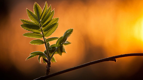 Set of high quality background images for general themes for computers Picture 12