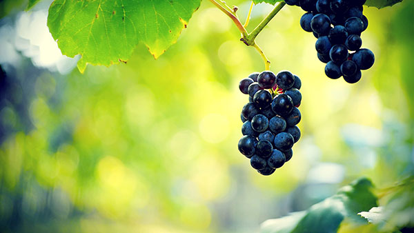 Set of high quality background images for general themes for computers Picture 14