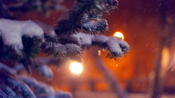 Set of high quality background images for general themes for computers Picture 19