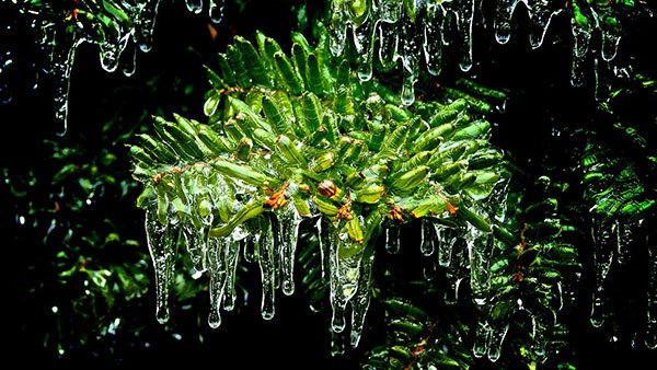 Set of high quality background images for general themes for computers Picture 28