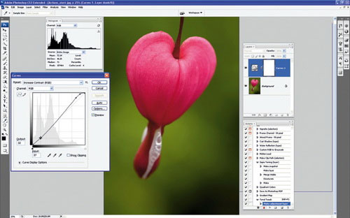 Setting up Photoshop Action batch image processing Picture 4