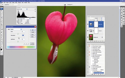 Setting up Photoshop Action batch image processing Picture 5