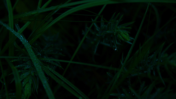 Share a full HD wallpaper set with beautiful themes for your computer Picture 24