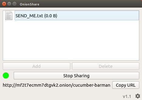Share any size file with Onionshare Picture 2