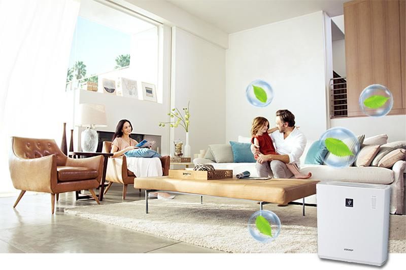 Share the address to buy reputable air purifiers, good prices in Hanoi, TP. HCM Picture 1