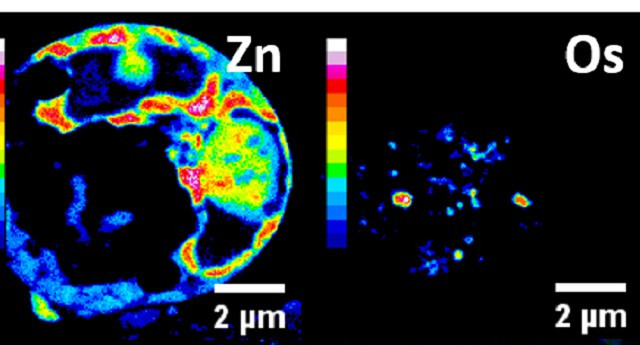 Shivered to discover that the metal-organic compound kills cancer cells from within Picture 1