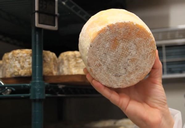 Shivered with the 'horror' dishes 1-0-2 in the world Picture 5