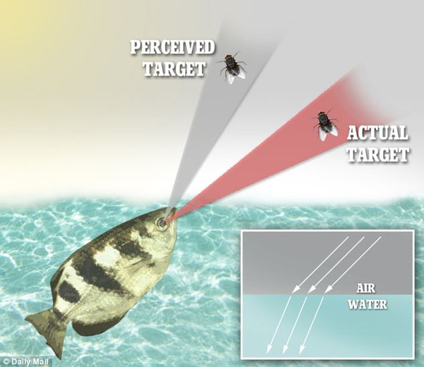 Shocked with the screen of 'bullet' water knocked down prey 2m away from the archers Picture 4