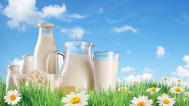 Should drink milk at the best time Picture 3