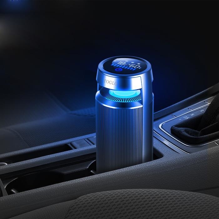 Should you buy an air purifier and deodorize your car? Picture 2