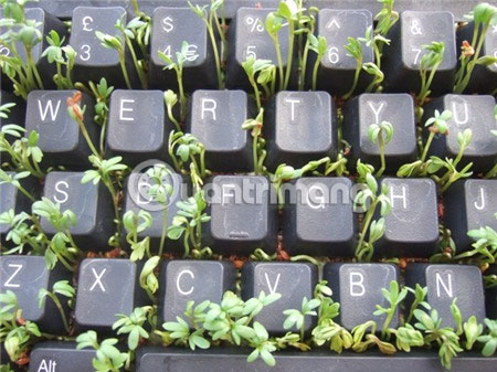 Signs your computer is about to die and how to handle it Picture 2