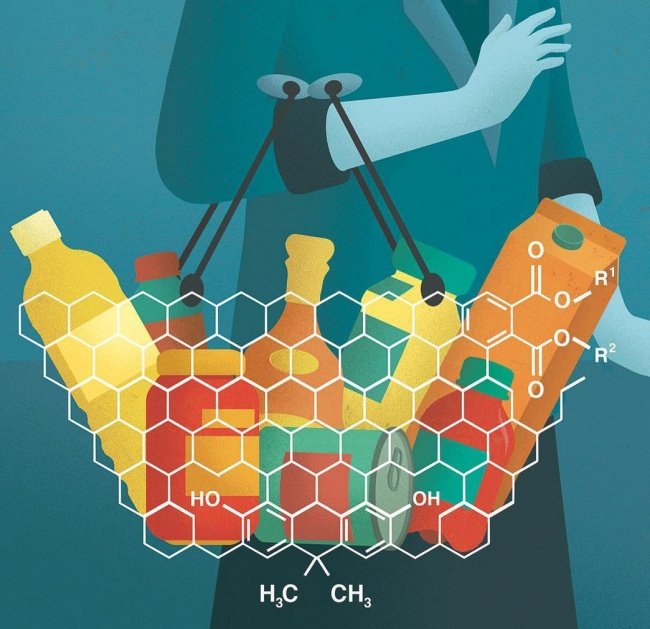 Silly with 16 images depicting the real world we live in Picture 2