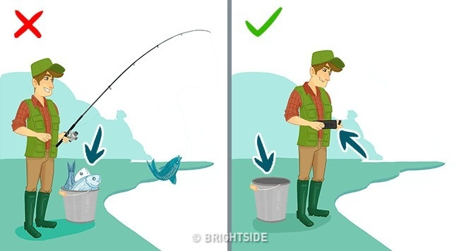 Simple tips make it easy to identify fresh, delicious fish Picture 3