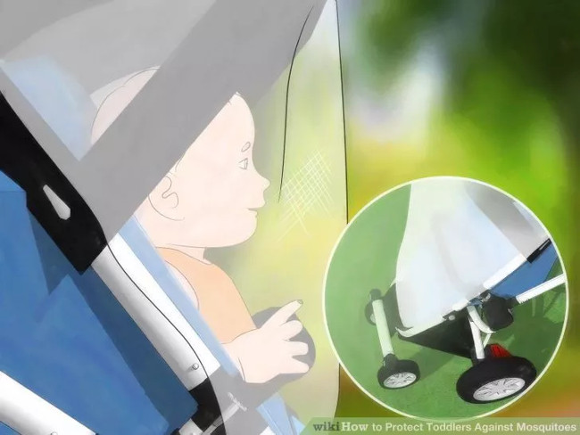 Simple way to prevent mosquito bites for young children Picture 3