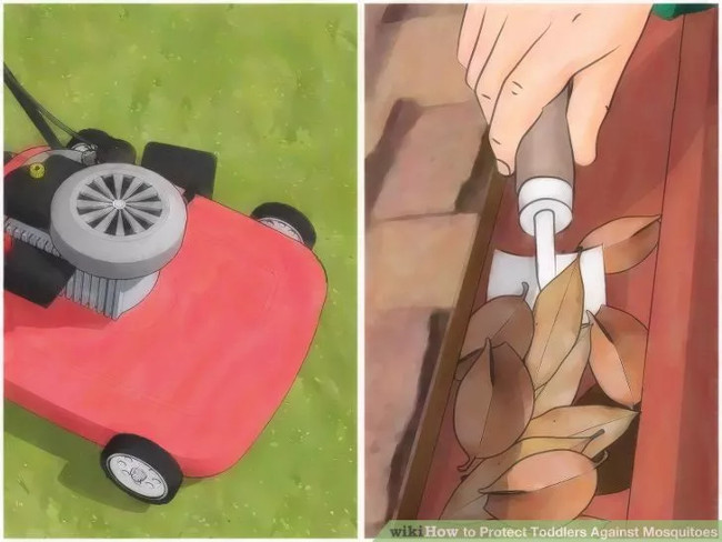 Simple way to prevent mosquito bites for young children Picture 8