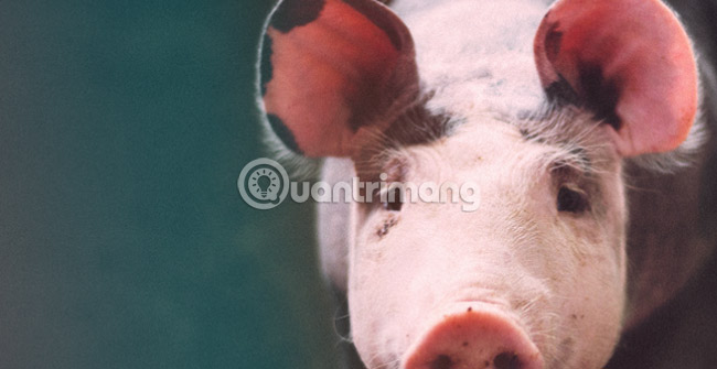 Simulate the quality of film images in digital photos with Photoshop Picture 13