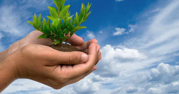 Sincere tips help change your life Picture 2