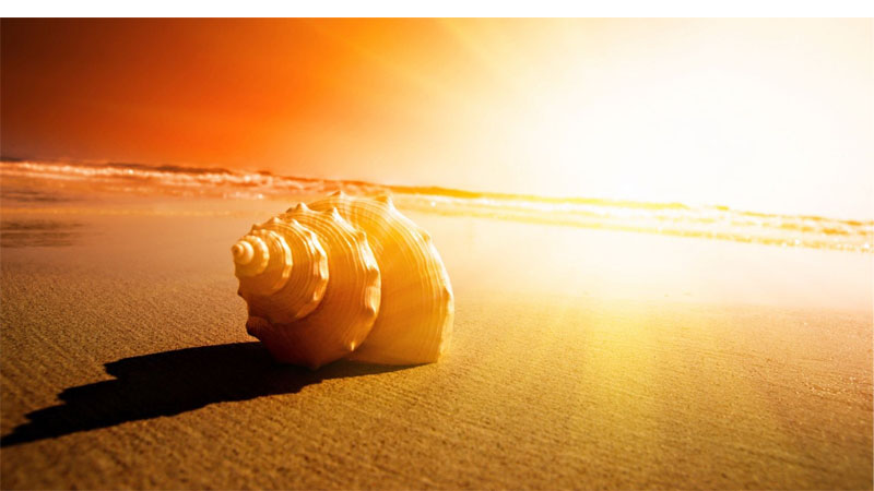 Sincere tips help change your life Picture 4