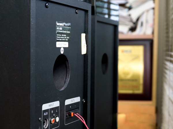 Sing super quality karaoke with SoundMax speaker AK-800 Picture 11