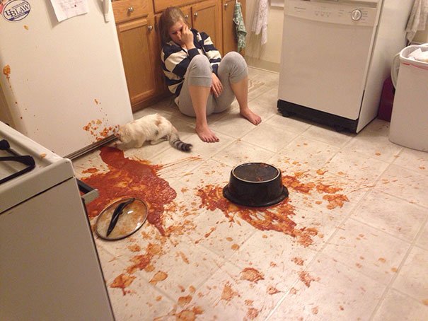 Smiling leaning with 20+ images of 'kitchen disaster' beyond 'imagination' Picture 14
