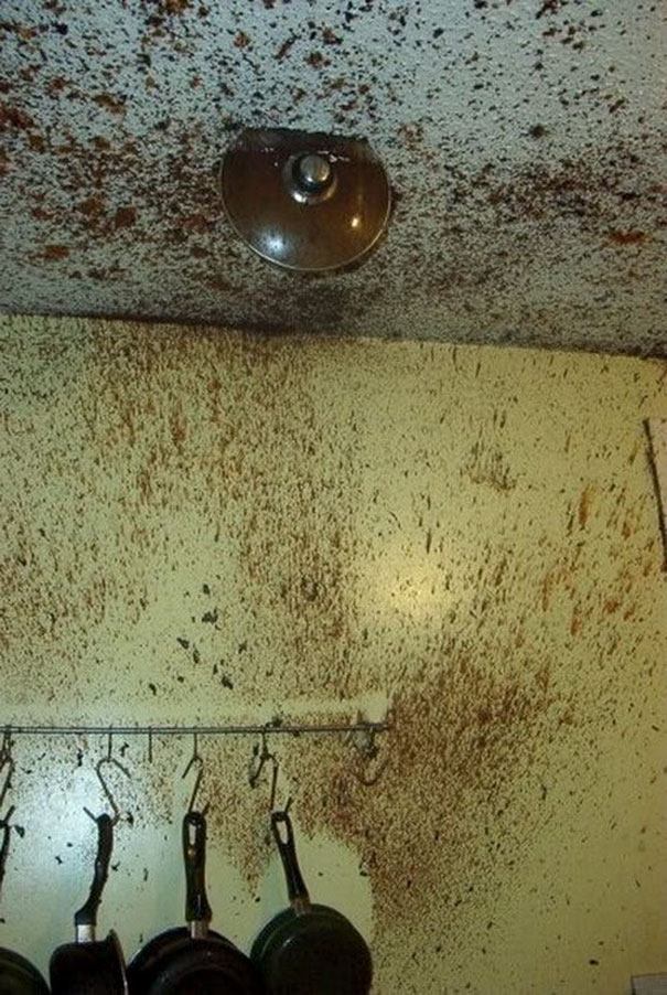 Smiling leaning with 20+ images of 'kitchen disaster' beyond 'imagination' Picture 19