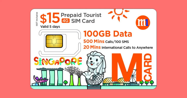 Some items should be brought, the app to install and notes to avoid being penalized when going to Singapore Picture 3