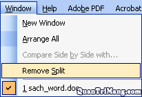 Some operations with the MS Word window Picture 5