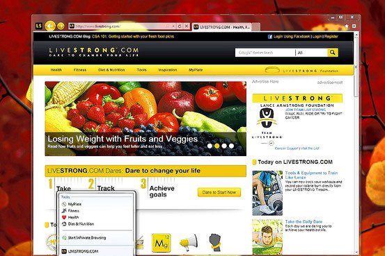 Something about Microsoft's new browser: IE9 Picture 1