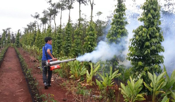 Sprayers can kill insects, kill termites at the root? Picture 1