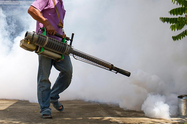 Sprayers can kill insects, kill termites at the root? Picture 3