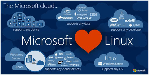 SQL Server 2017 on Linux helps increase performance for companies Picture 1