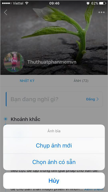 Standard Zalo cover photo size Picture 3