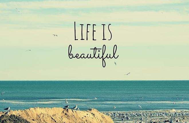 Status and status, status makes you laugh without picking up your mouth Picture 5