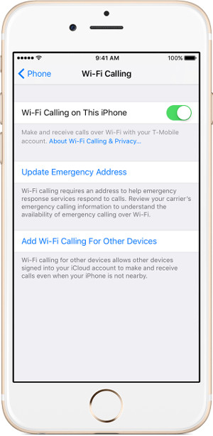 Steps to make a call on Wifi Calling Picture 2
