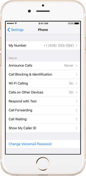 Steps to make a call on Wifi Calling Picture 4