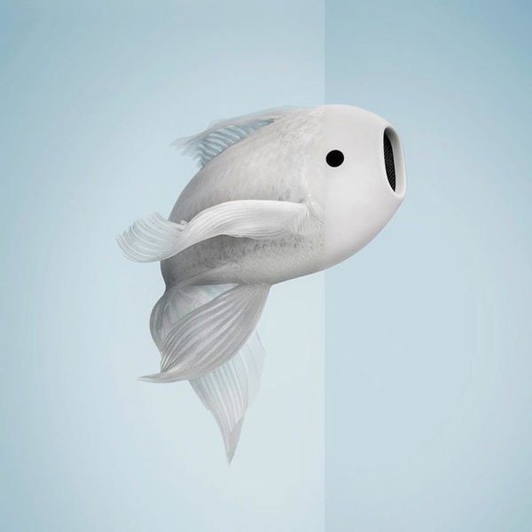 stitching 2 images creates a very convincing image beam Picture 10