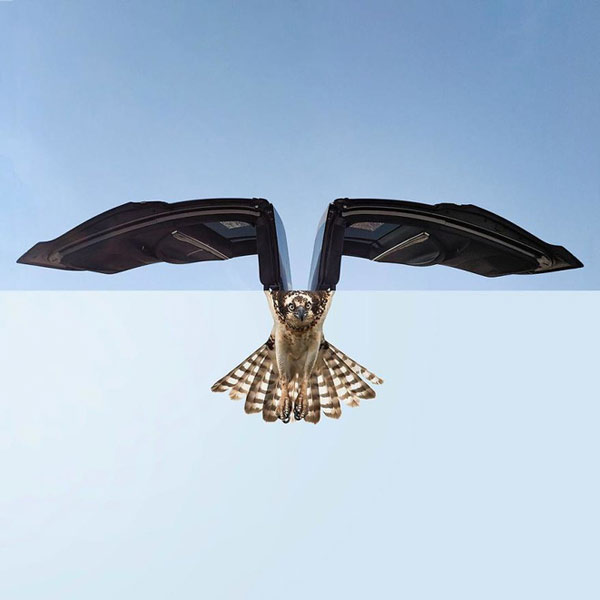 stitching 2 images creates a very convincing image beam Picture 24