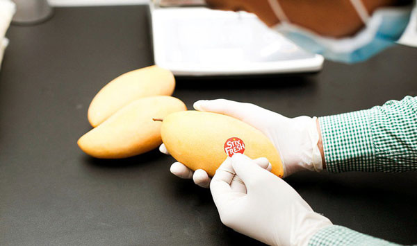 Stixfresh, a special sticker that helps fruits stay longer than 14 days, is succulent and does not moldy Picture 1