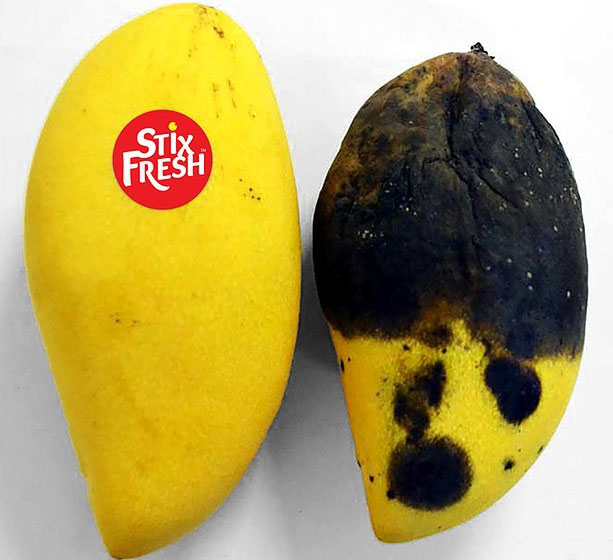 Stixfresh, a special sticker that helps fruits stay longer than 14 days, is succulent and does not moldy Picture 3