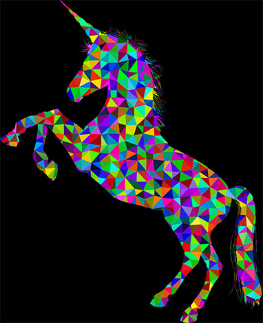 Stories behind .unicorn, .ninja and other strange domain names Picture 2