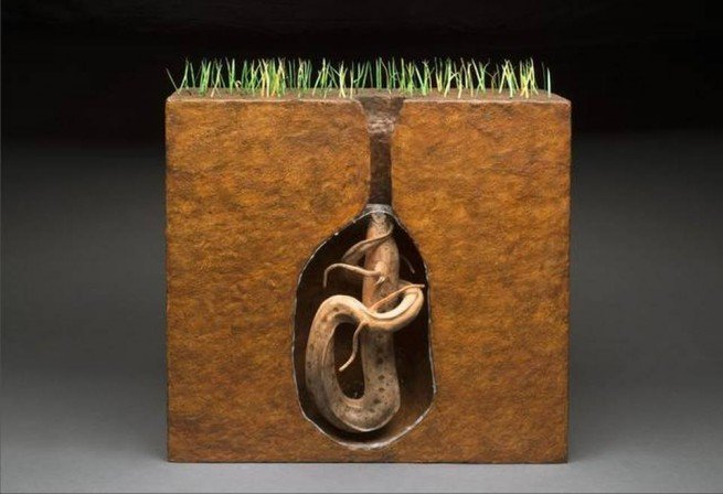 Strangely, fish can live on land for five years without dying Picture 3